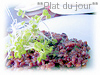 料理レシピリング**Plat du jour**
